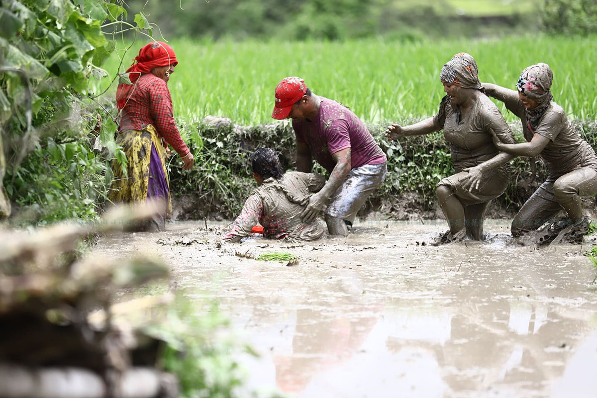 https://raracms.setopati.com/uploads/shares/2020/sujita/dhan diwas/dhan diwas (1).jpg